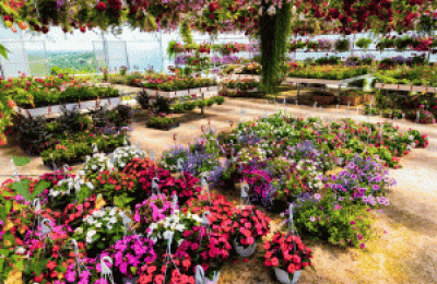 Nursery Nassau County Retail Garden Center - NET $610k