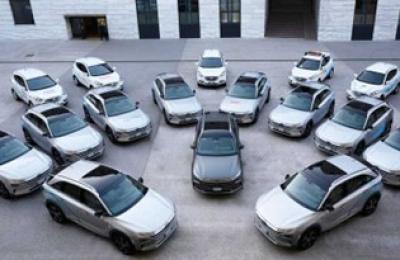 "Unlock Profits: 20 TLC Licenses & Vehicles Fleet for Sale!"