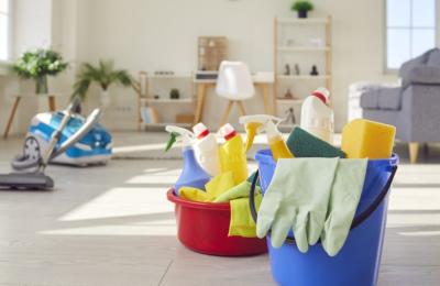 Get in for the Season - Unique Fire Island Home Cleaning Co. - $650K Gross 2025 - 300+ Clients with 200 contracted