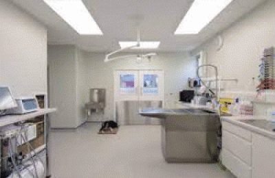 Medical or Pet Services Facility for Lease – North Shore Long Island – $35.00/SF NNN