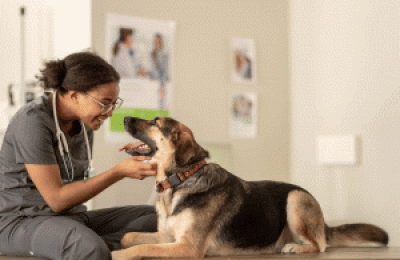 Queens Pet Hospital On Iconic Steinway Street For Sale! PRICE DROP!